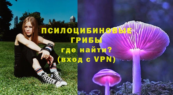 соль курить ск Волосово