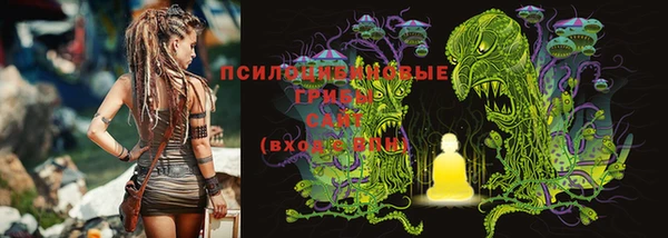 трава Горно-Алтайск
