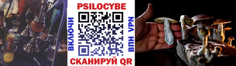 Галлюциногенные грибы мицелий Жердевка